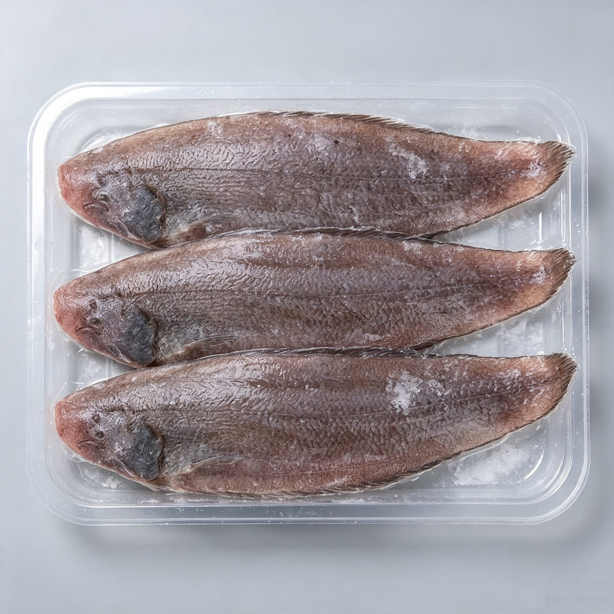 Frozen Large-Size Sole Fish
